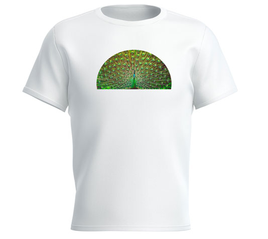 Camiseta Pavo Casarejo