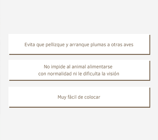 protector de pico para aves