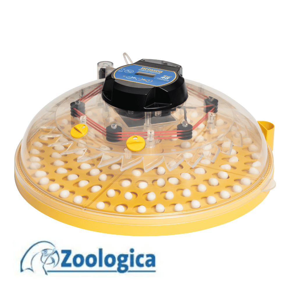 Brinsea Maxi 48 Zoologica