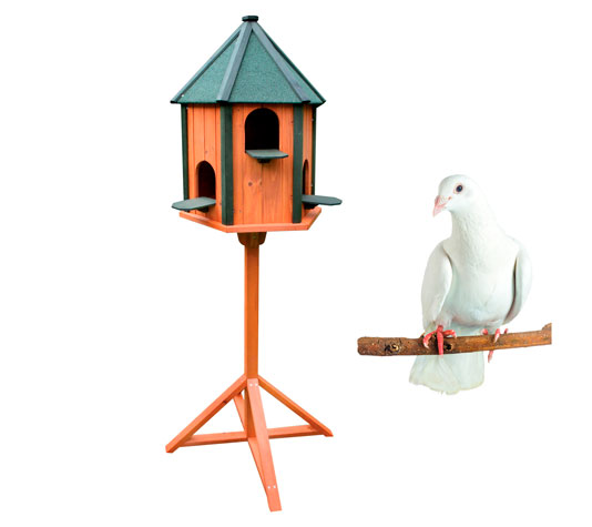 palomar de madera pequeño