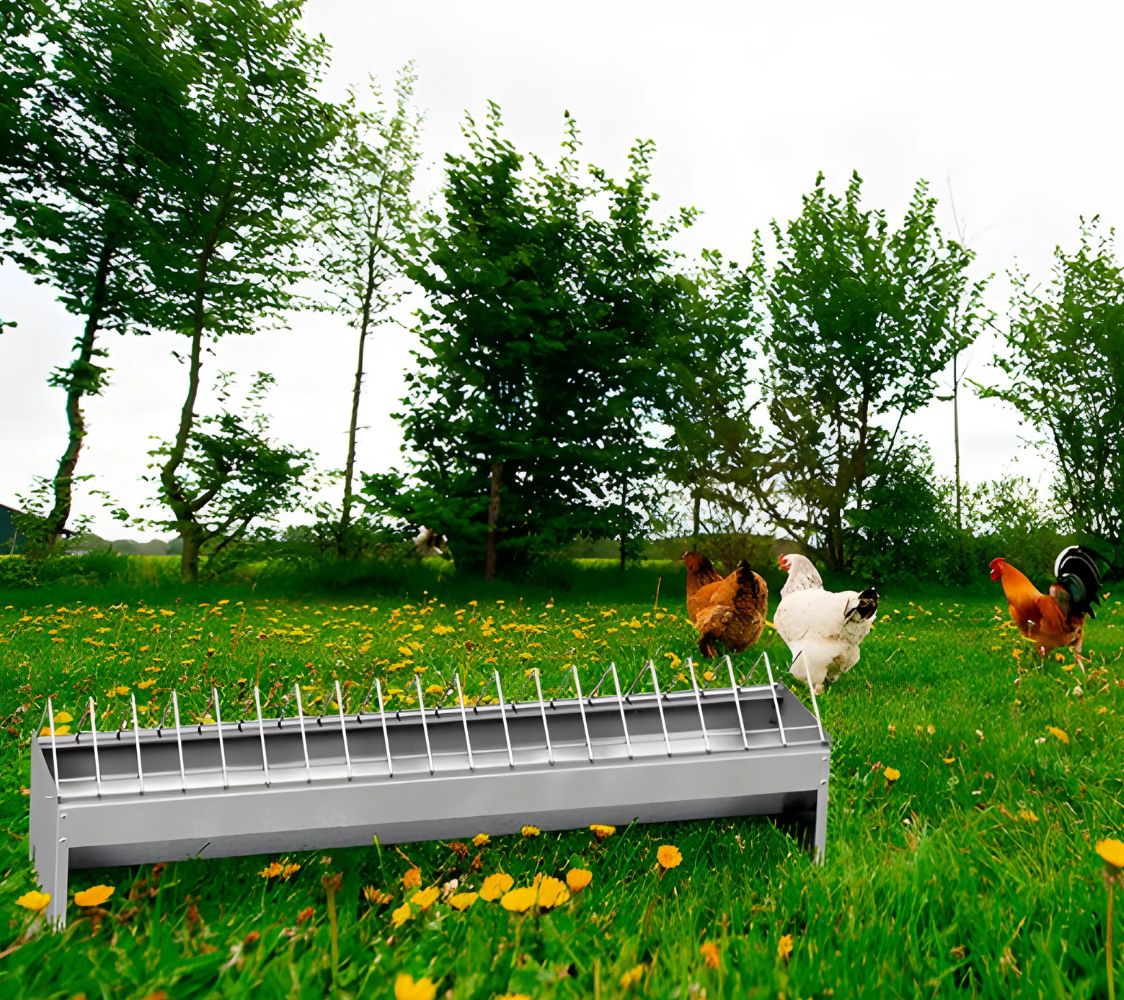 comedero para aves de corral	