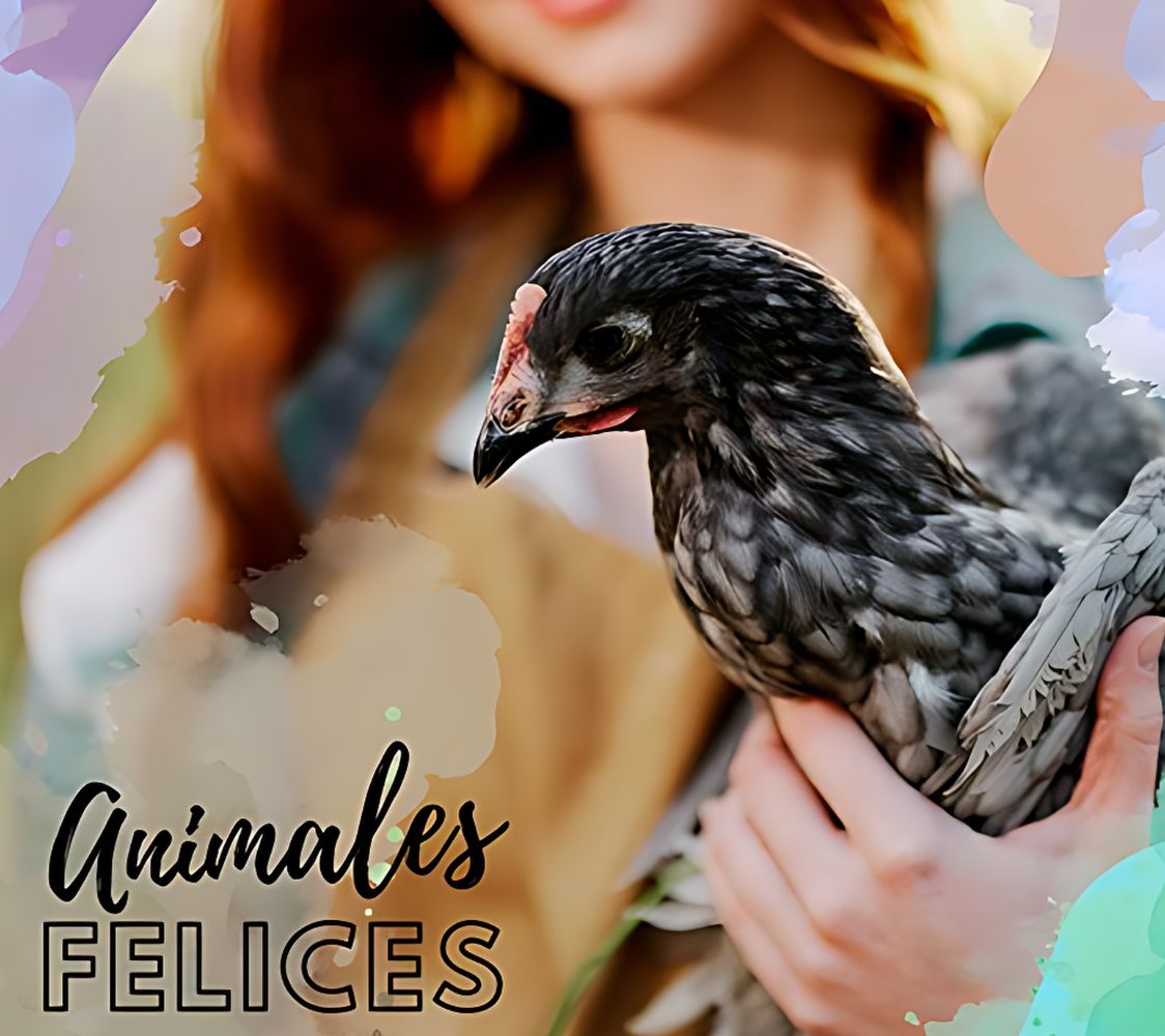 comedero para aves de corral	