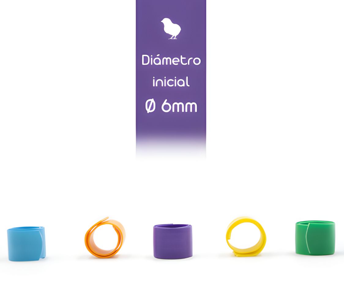anillas flexibles para pollitos	