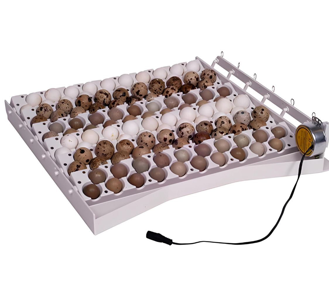 bandeja de volteo para huevos pequeños	