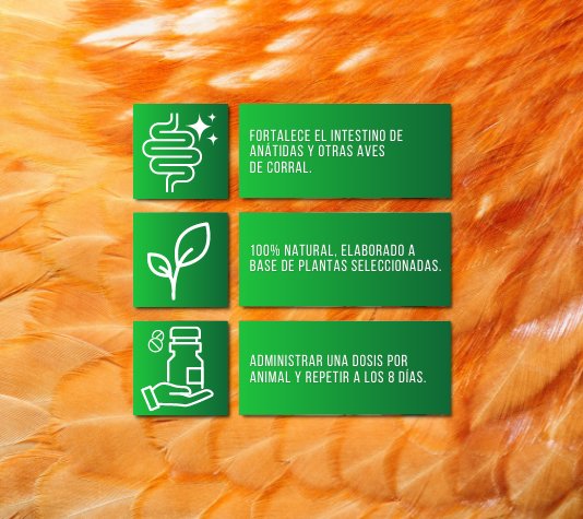Producto contra parásitos internos en gallinas y otras aves
