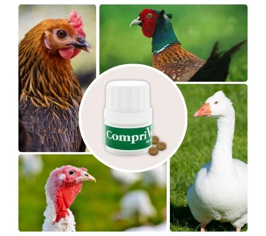 CompriVerm contra vermes y otros parásitos internos