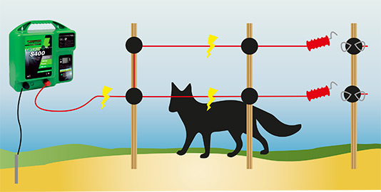 instalacion de pastor eléctrico en cercado