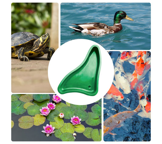 Estanques prefabricados para tortugas, patos y peces