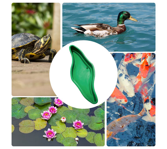 Estanques prefabricados para tortugas, patos y peces