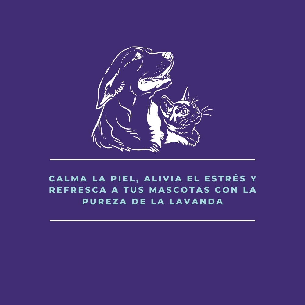 reduce el nerviosismo y calma irritaciones de foma natural