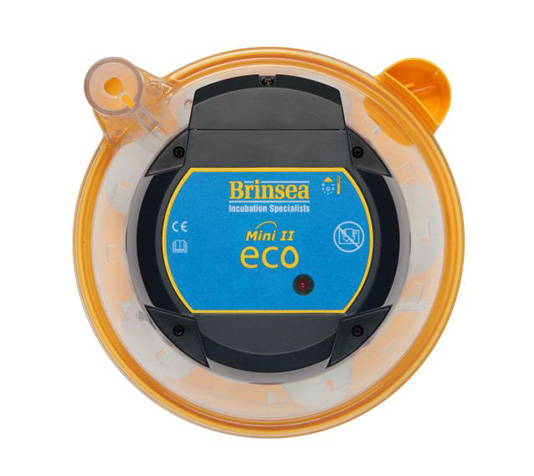 Incubadora pequeña manual brinsea mini II eco