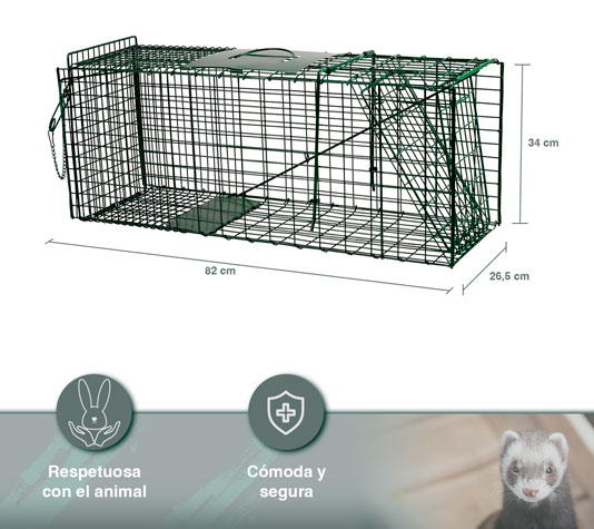 Jaula trampa para hurones