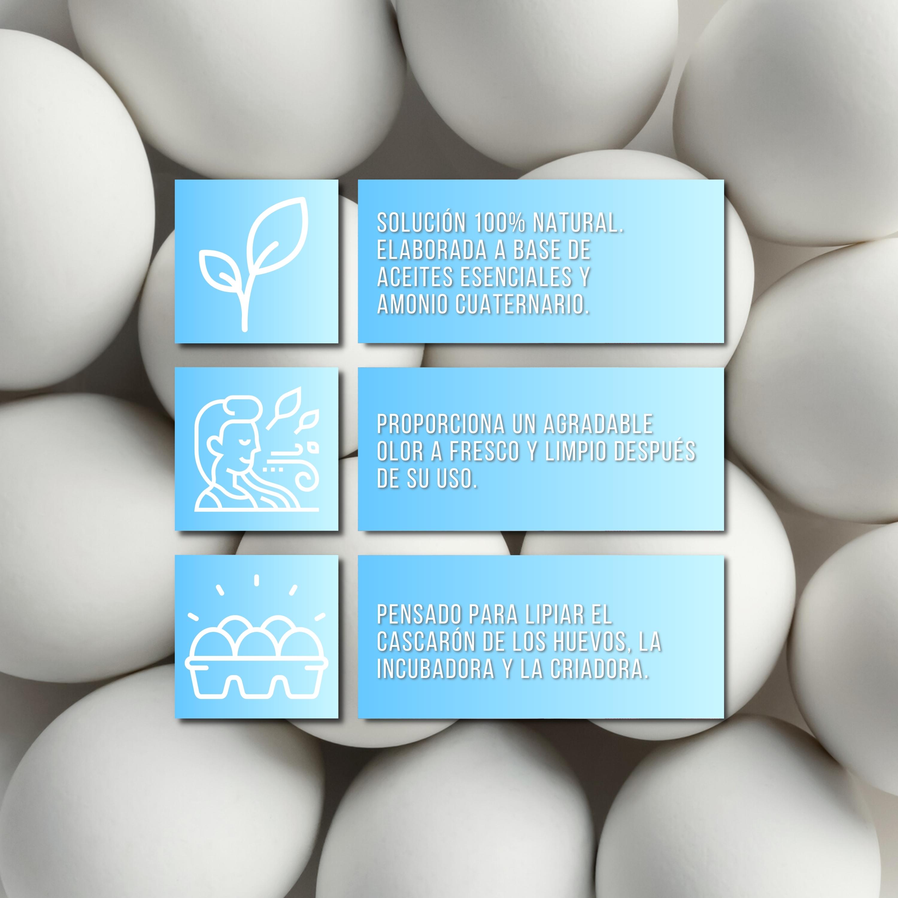 Desinfectar huevos y material de incubación