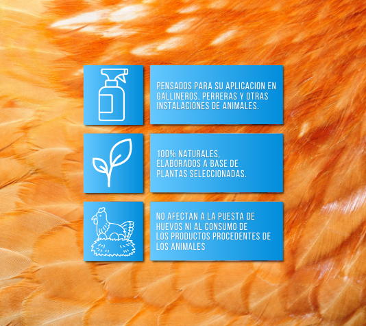 Desinfectar el gallinero 