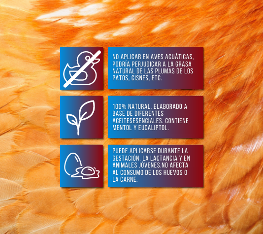 Aliviar el catarro de las gallinas