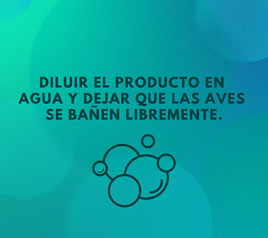 sales de baño para pájaros