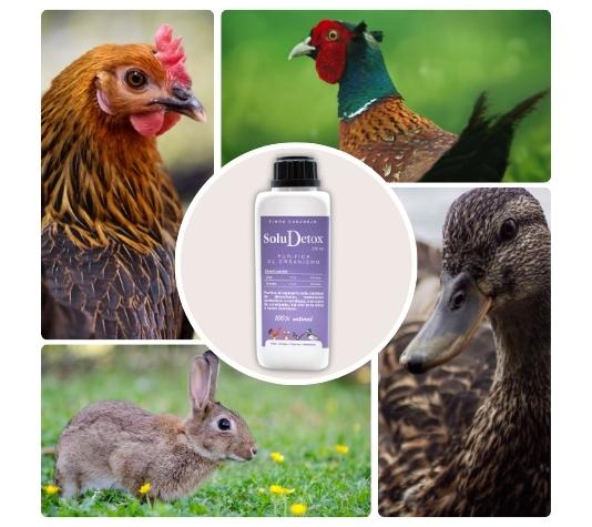 Alimento complementario para animales