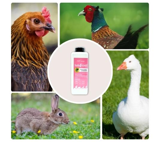 Vitaminas para aves y conejos