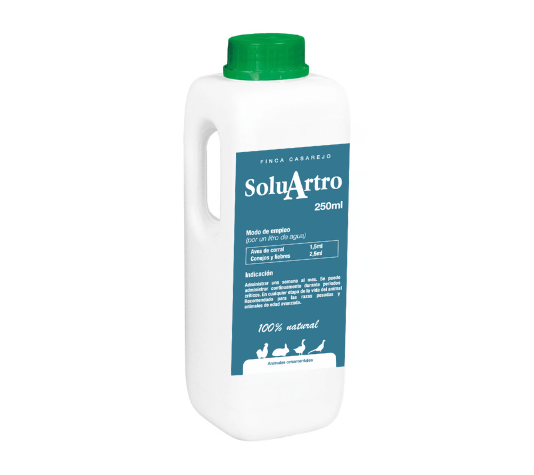 SoluArtro