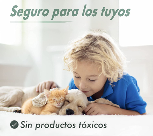 trampa ratas en casa 