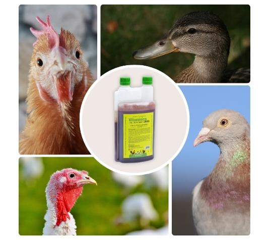 favorecer el crecimiento de las crías 