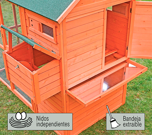 detalle de un gallinero bien equipado