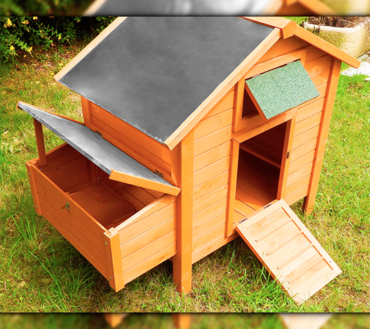 gallinero island premium con puerta automática