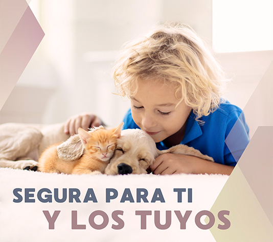 Características trampa