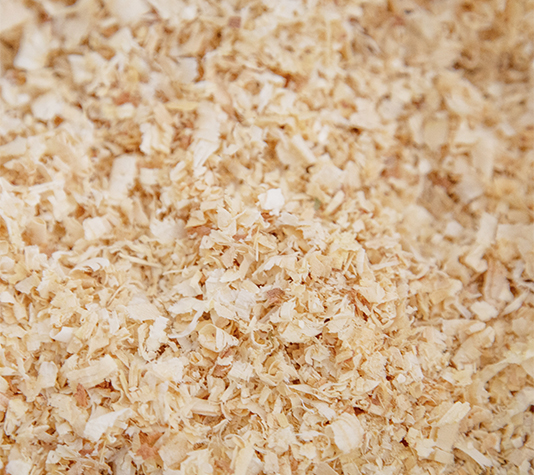 viruta madera cama gallinero