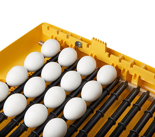 incubadora brinsea zoológica volteo