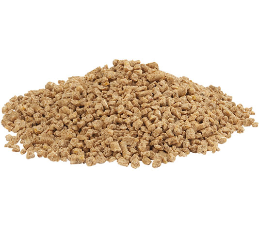 alimento para pollitos