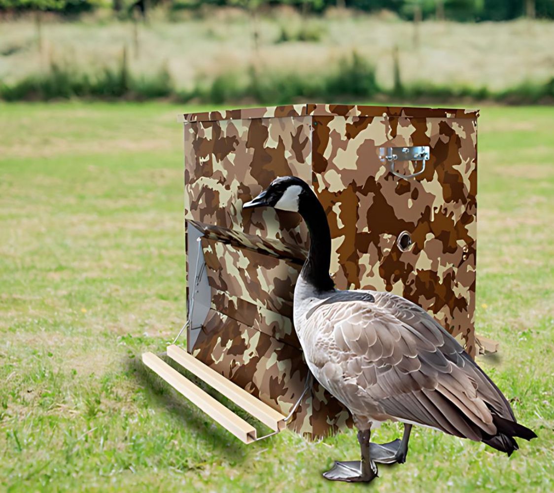 Tolva autoservicio aves	