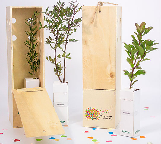 arbolitos en caja de madera