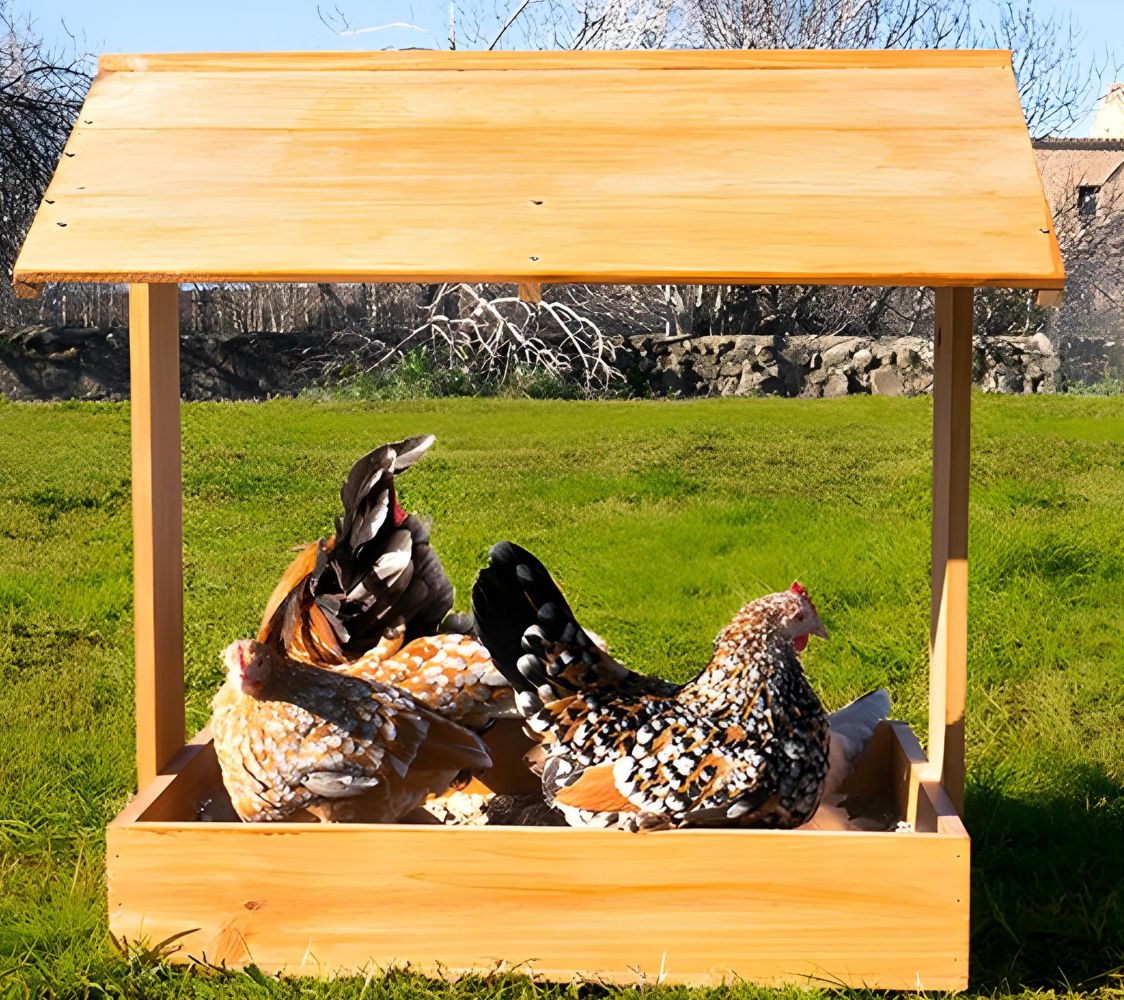Cómo usar la caja para arena en el gallinero	