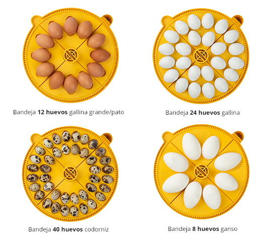 Bandeja adicional para huevos