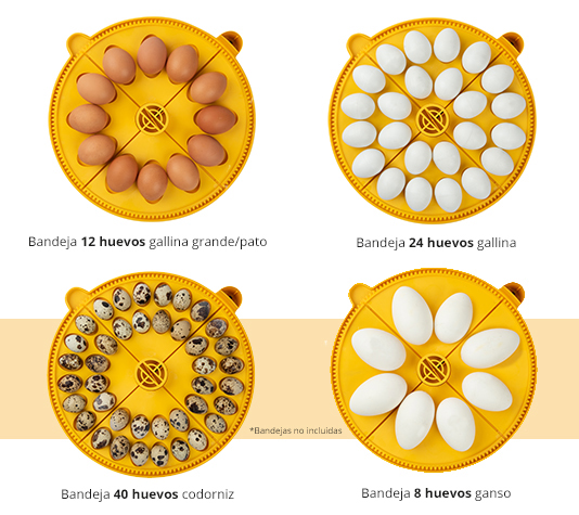 capacidad incubadora MAXI 24 Advance BRINSEA