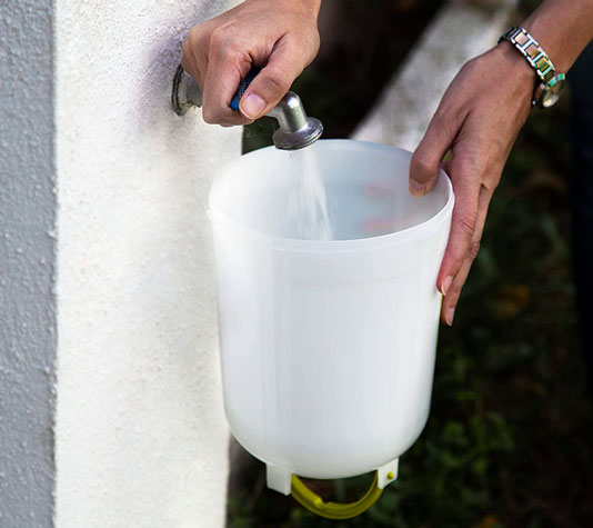 bebedero de plástico vegetal para aves