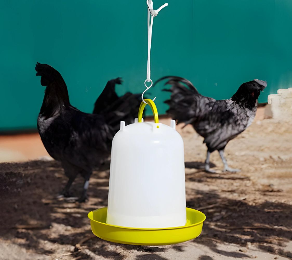 bebedero colgante para gallinas	