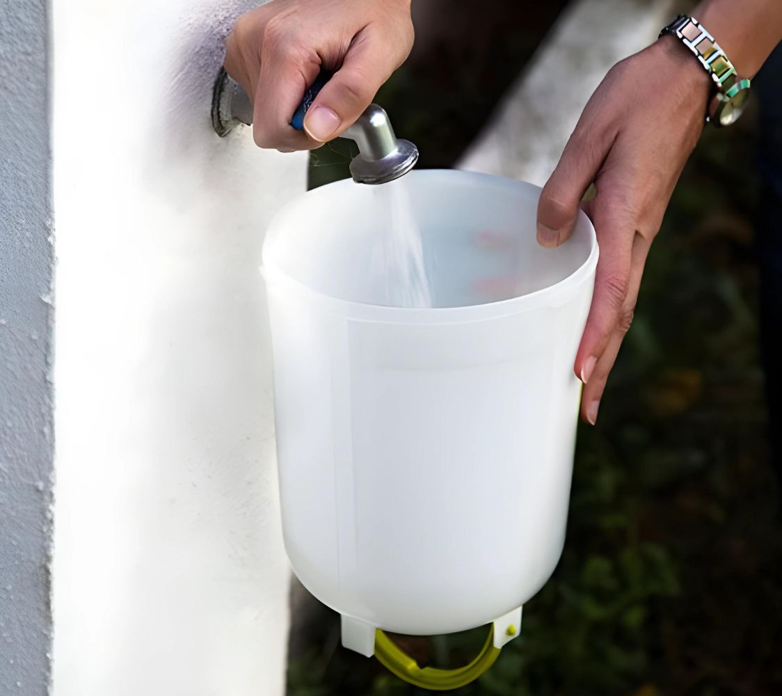 bebedero de plástico vegetal	