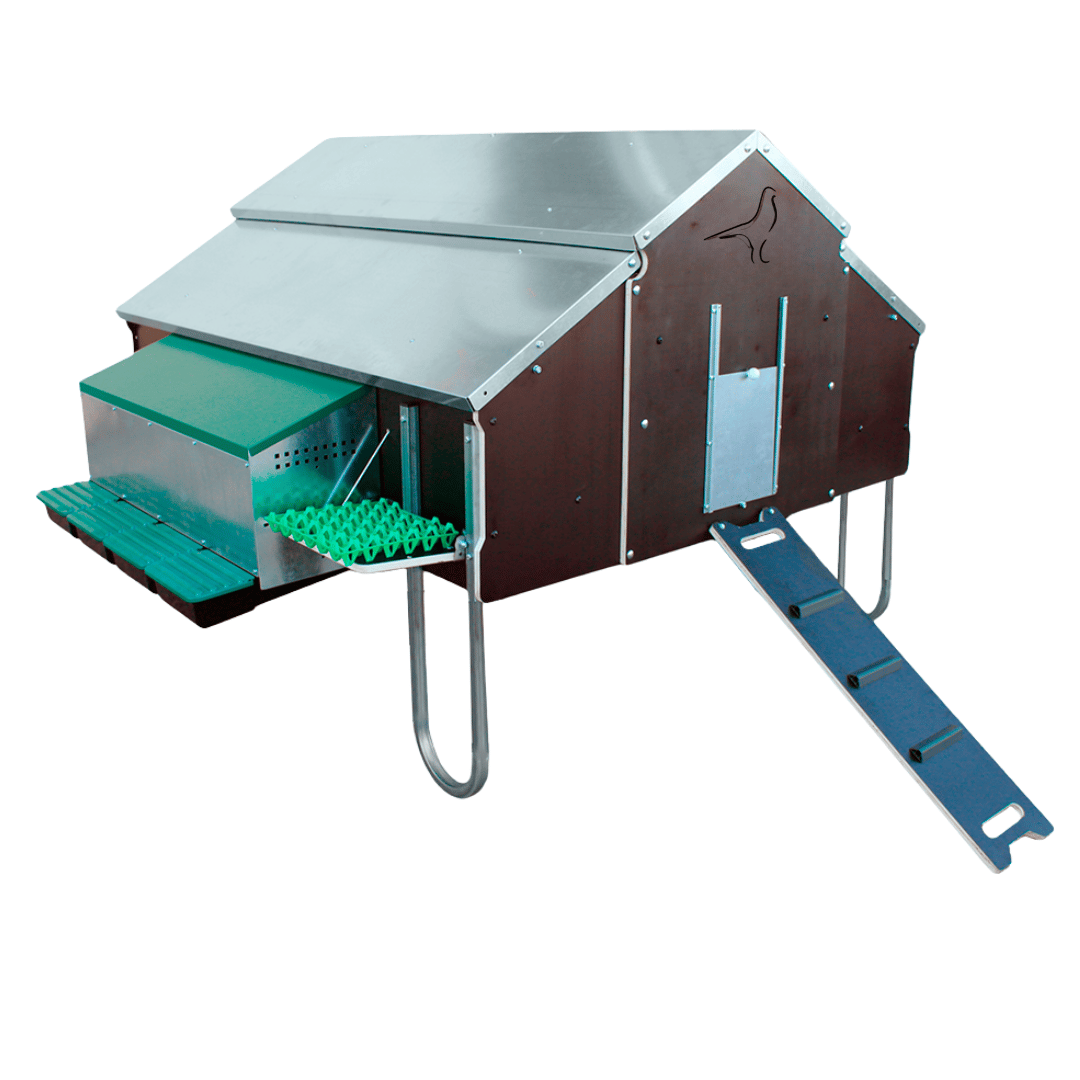 Gallinero de gran capacidad