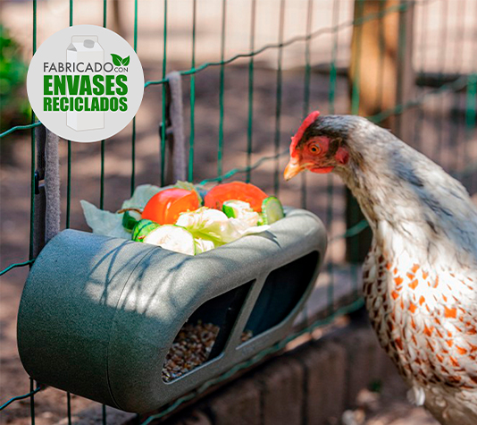 Comedero con banda de velcro para gallinas