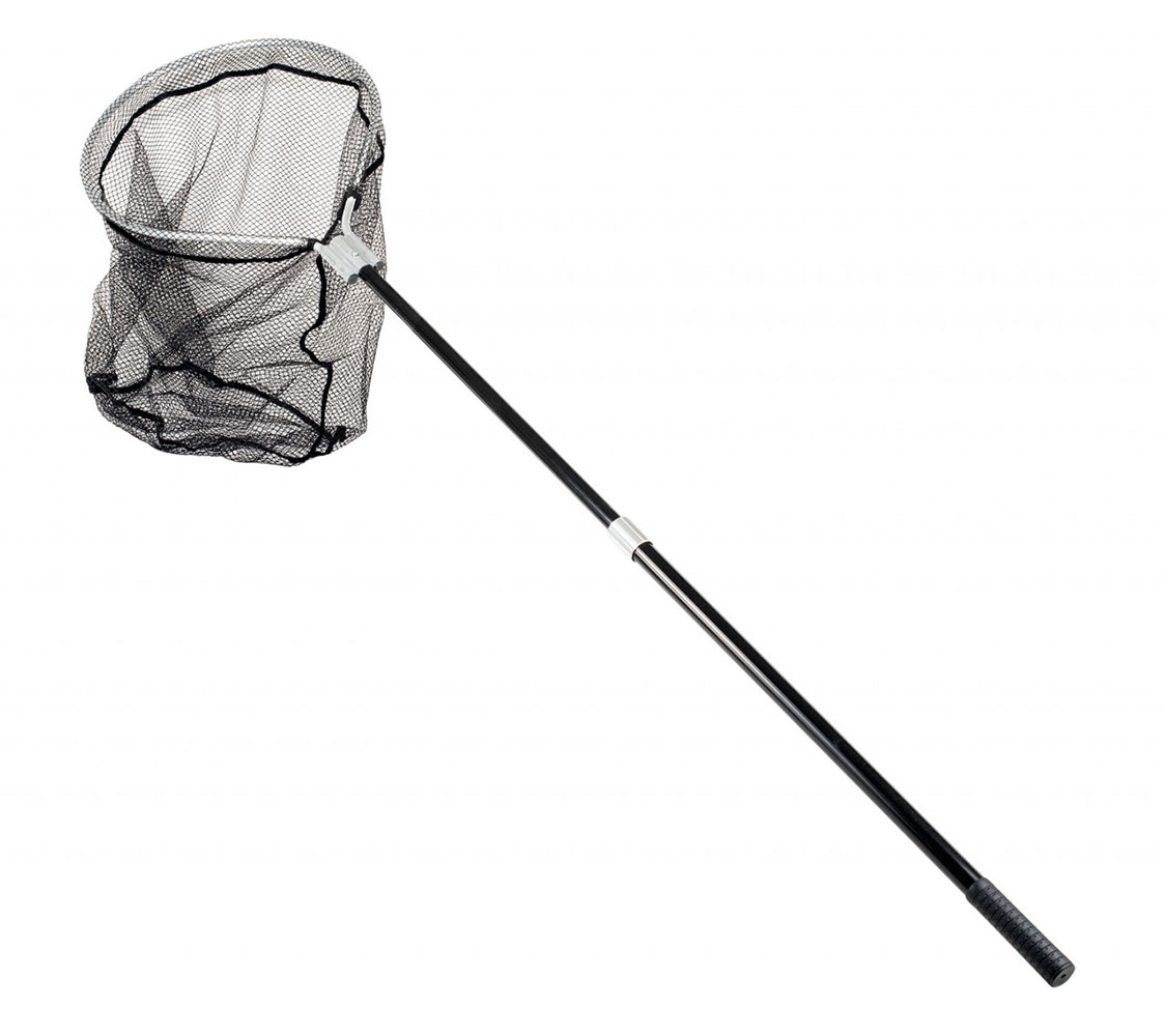 caza aves para espacios amplios