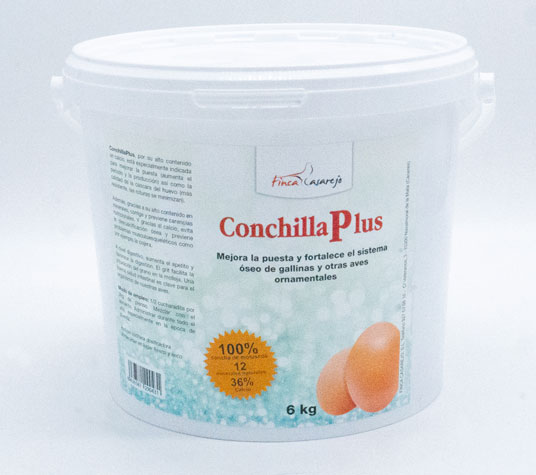 Conchilla 6 kg
