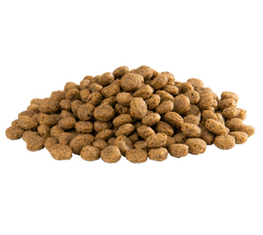 comida especial para ibis