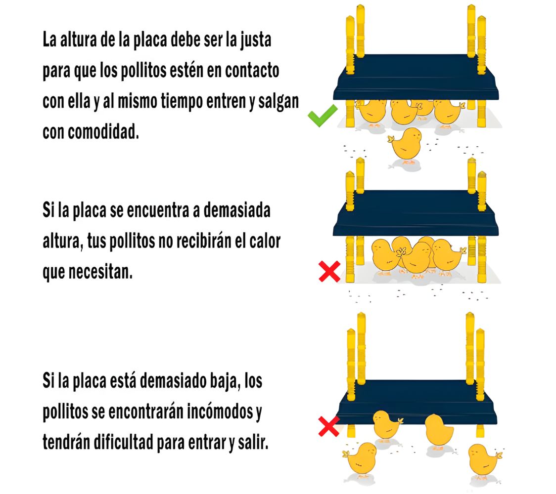 Instrucciones de uso de la Criadora WP	