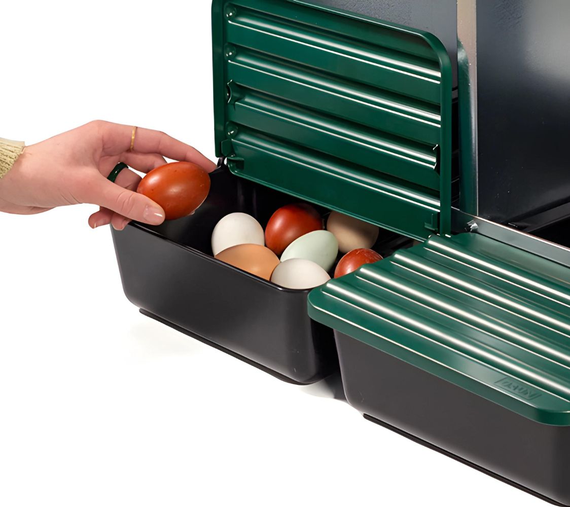 cubeta para nidos de gallina	