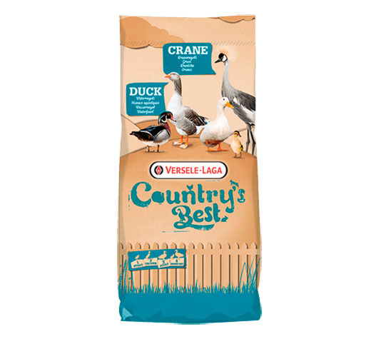 alimentación de patos en época de reproducción