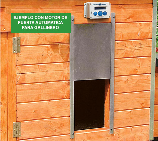 gallinero con puerta automática