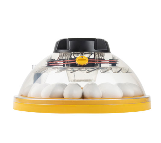 Incubadora Maxi 24 Ex