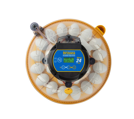 Incubadora Maxi 24 Ex